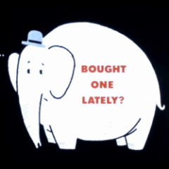 Have You Bought a White Elephant Lately?